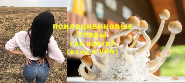 Альфа ПВП Лиски