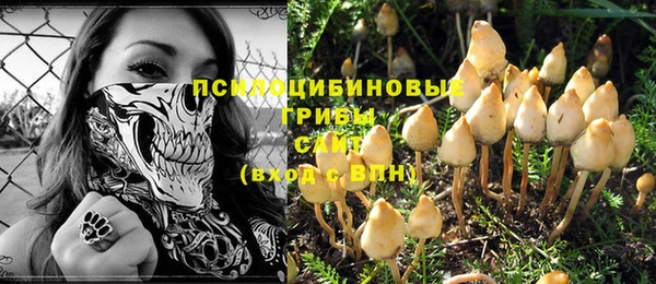 круглые Ладушкин