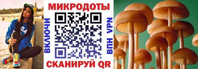 Псилоцибиновые грибы Magic Shrooms  наркота  Дрезна 